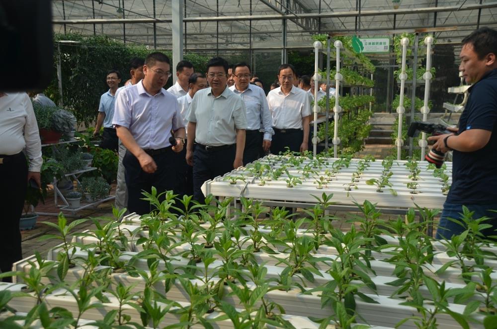 科技助農(nóng)，播撒光的種子  精準扶貧，助力鄉(xiāng)村振興