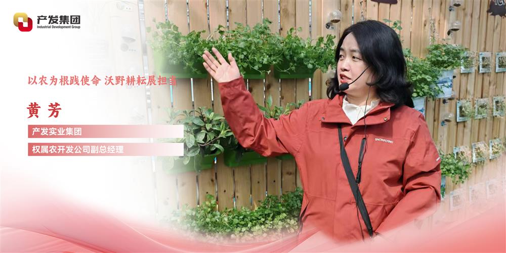 巾幗綻芳華 | 產(chǎn)發(fā)實(shí)業(yè)集團(tuán)權(quán)屬農(nóng)開發(fā)公司 黃芳：以農(nóng)為根踐使命，沃野耕耘展擔(dān)當(dāng)
